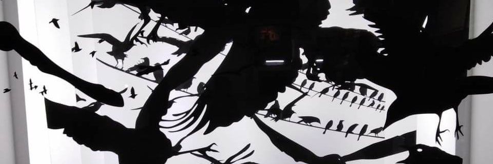 EmPaulin's profile banner image