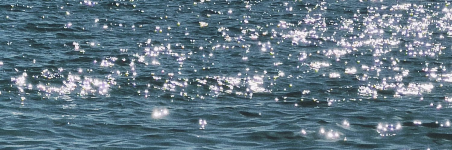 dideh10101010's profile banner image