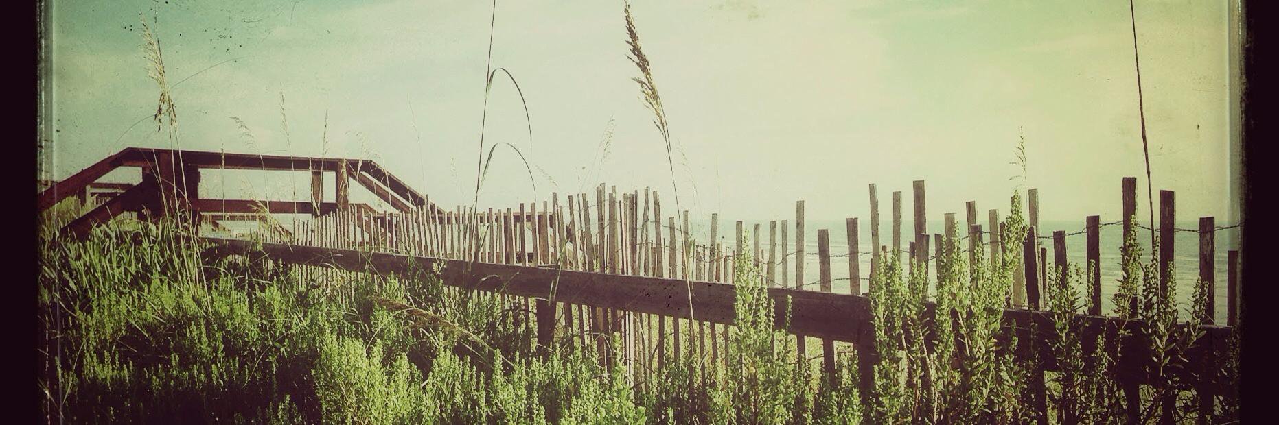 danaracanelli's profile banner image