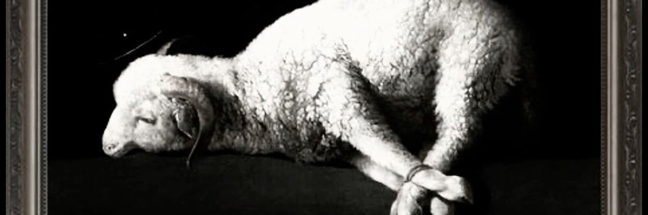 antiqueteeth's profile banner image