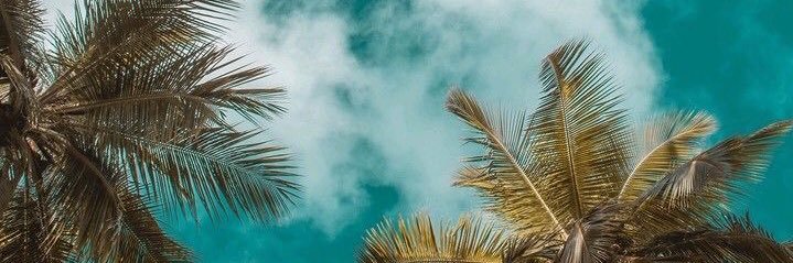 rorizjulia's profile banner image