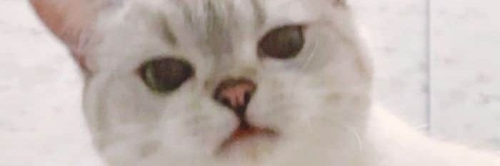𝓝𝓪𝓶𝓮 banner