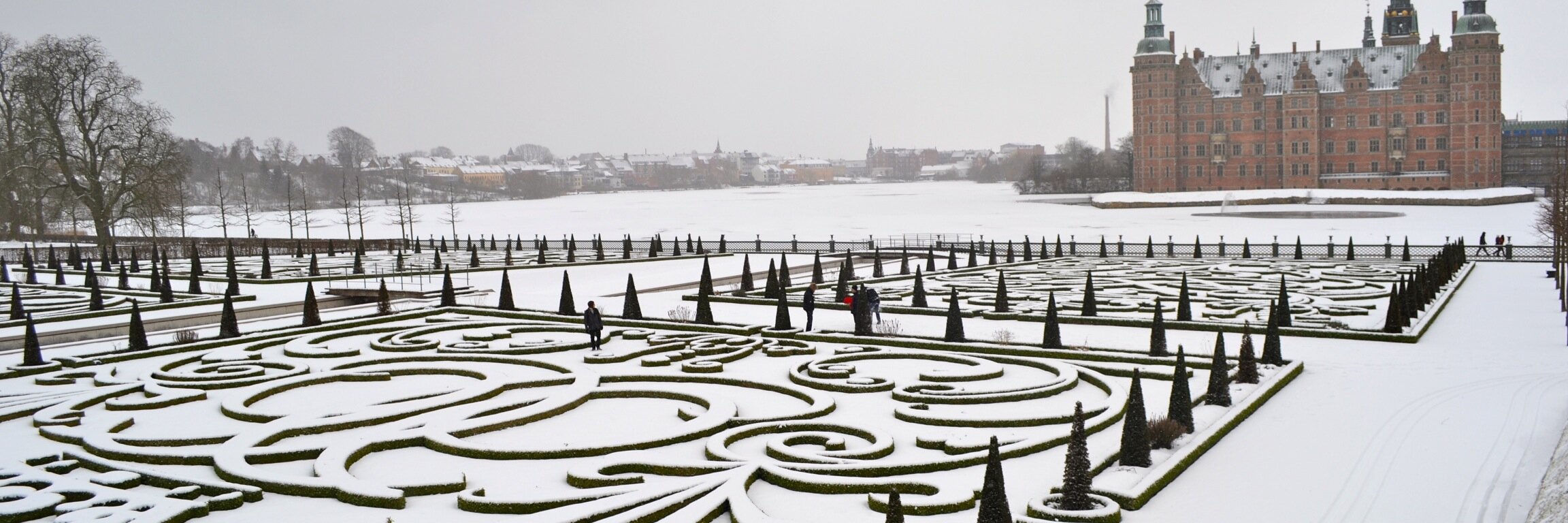 Sebastian Carrasco Pro banner