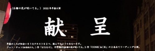 zaccuro's profile banner image