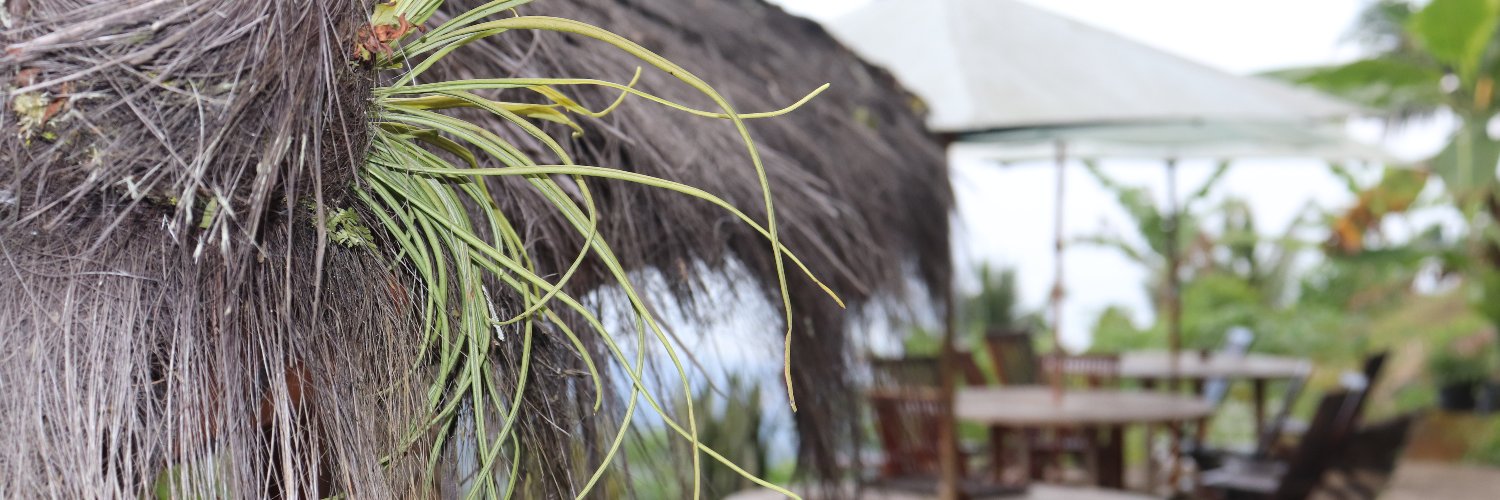 SLNzava's profile banner image