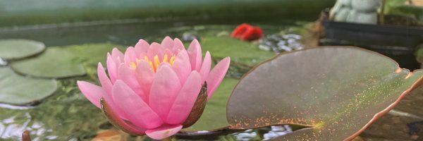 nmti_col Profile Banner