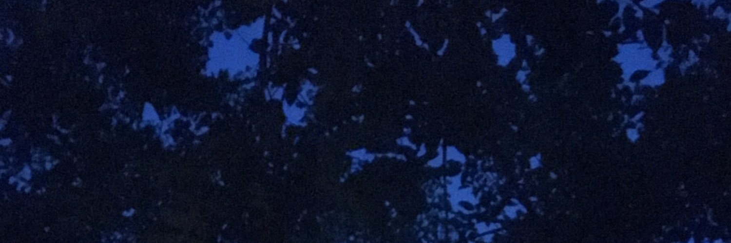 harugoodbye's profile banner image