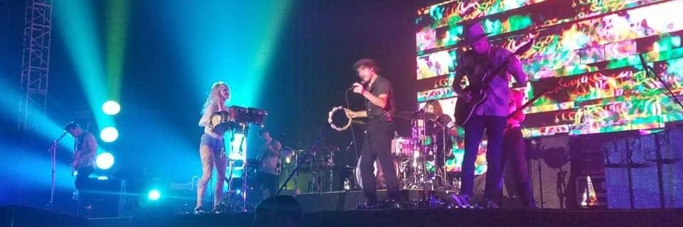 𝔰𝔦𝔠𝔵𝔫𝔢𝔰𝔰 banner