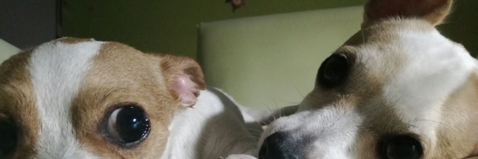 SamLied_'s profile banner image