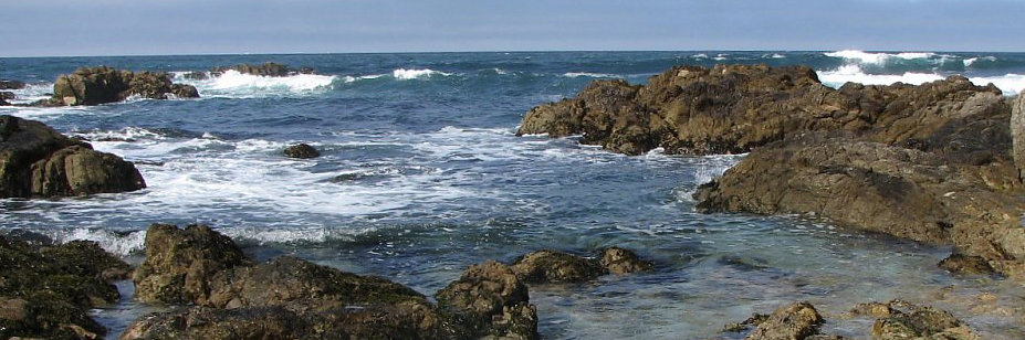 sarspri's profile banner image