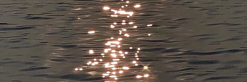 STSN37819216's profile banner image