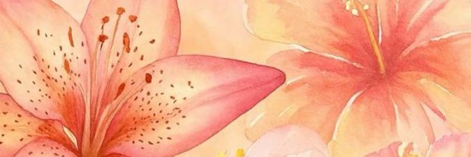𝚗𝚒𝚔 banner