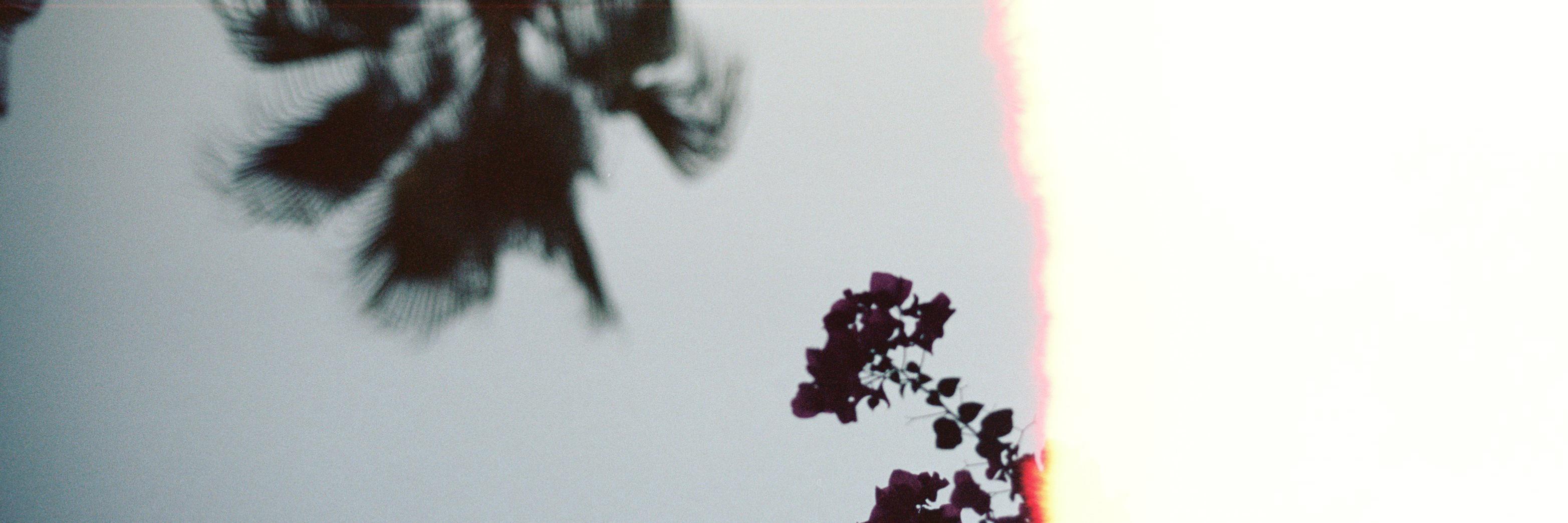 GoodbyeChanel's profile banner image