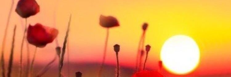 S banner