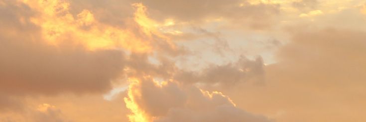 pathtxdivinity's profile banner image