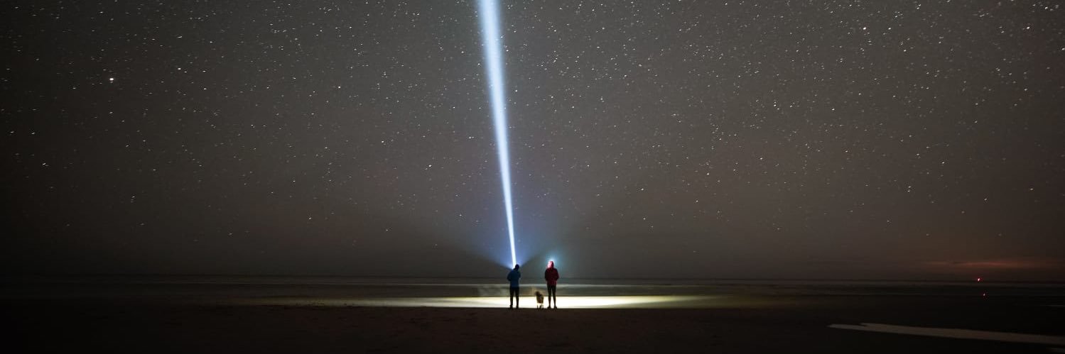 ArchieBoy the Spaniel banner
