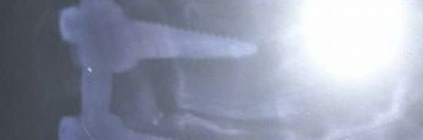 @beatrizferron4 banner