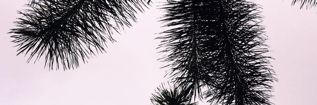 maddyagbor's profile banner image