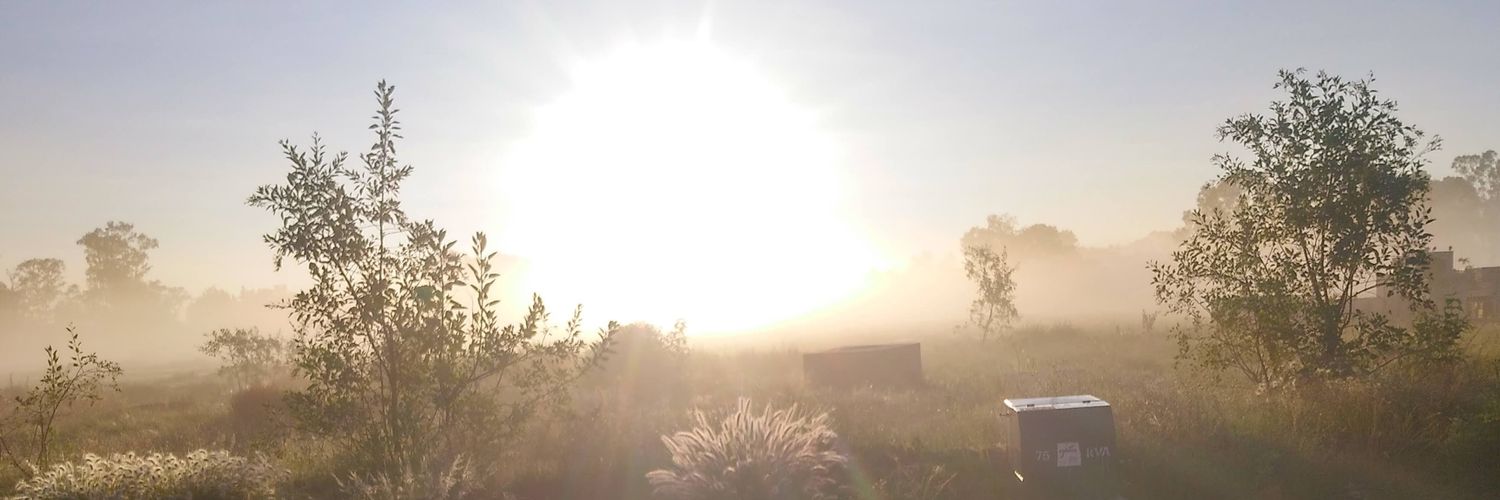 Daniel_lopez00's profile banner image