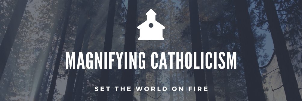 MagnifyCatholic's profile banner image