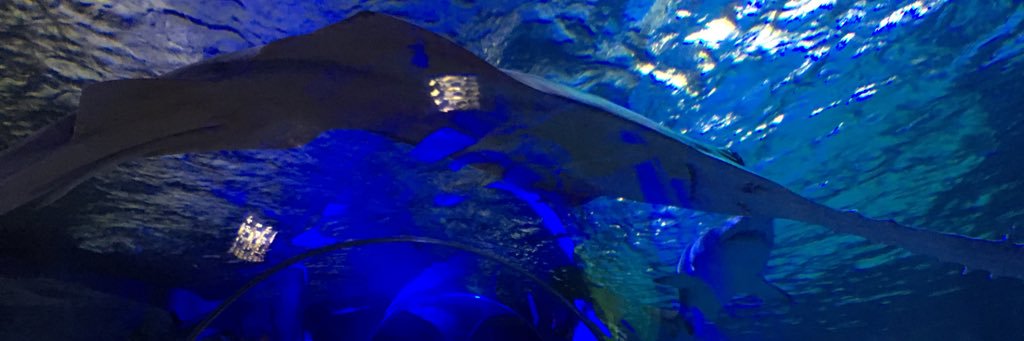 blare121 banner