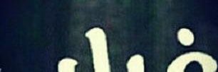 nouraadamfarid's profile banner image