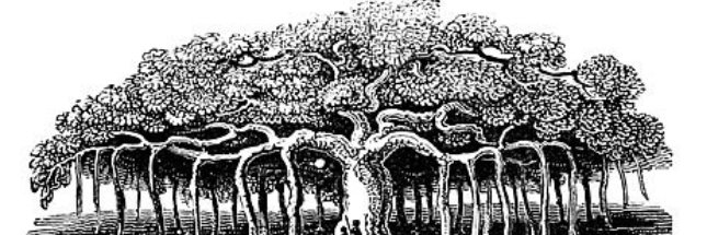 The Banyan Review banner