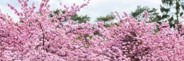 whatsonwhenug Profile Banner