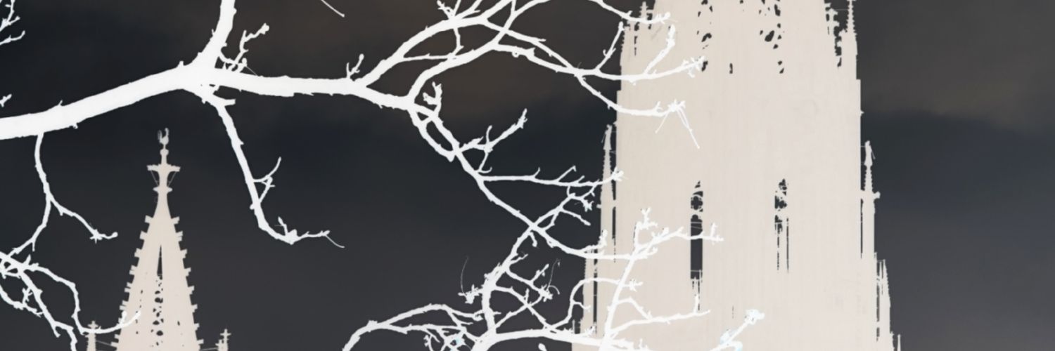 eneaenecuui3's profile banner image