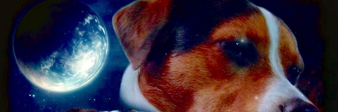 _IIN8II_'s profile banner image