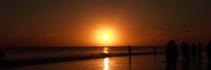 sofiialvarez4's profile banner image
