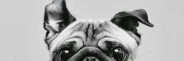 Marckenstein's profile banner image