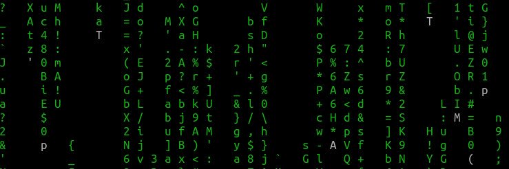 bootlesshacker@infosec.exchange banner