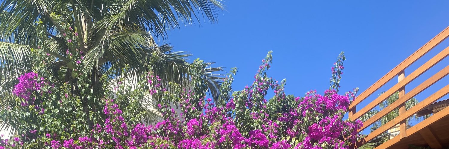viccclatorre's profile banner image