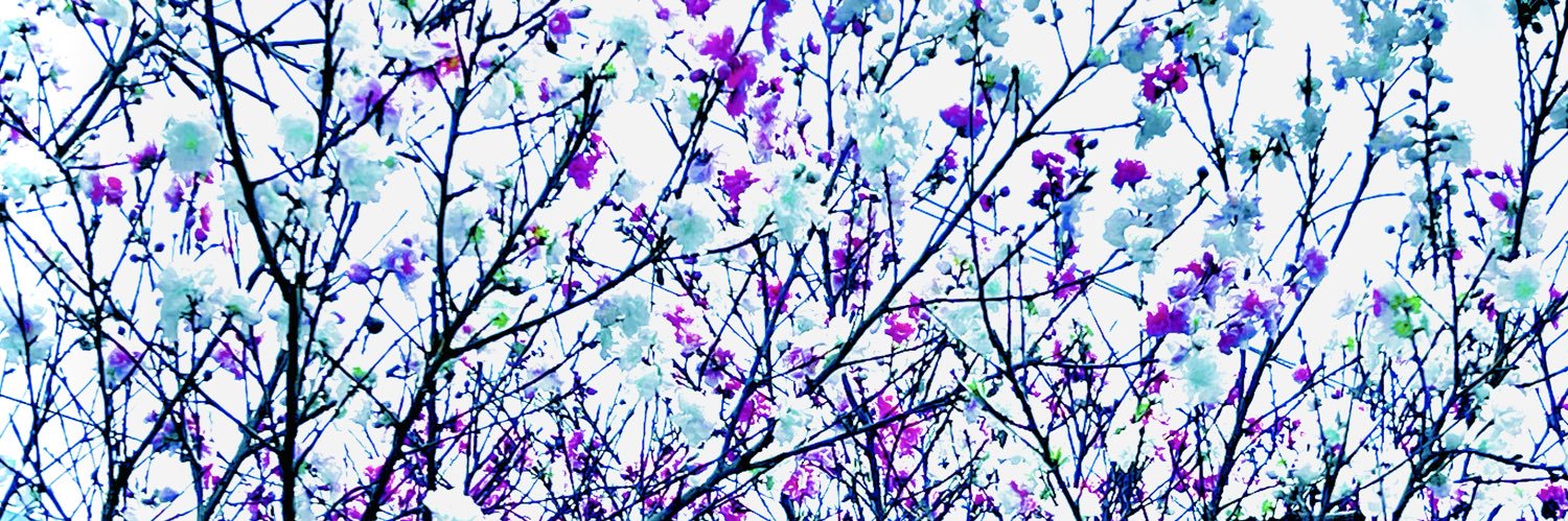beaverton503's profile banner image