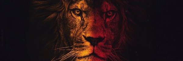 CimBomluu19O5 Profile Banner