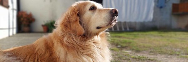 tobi3113_2 Profile Banner