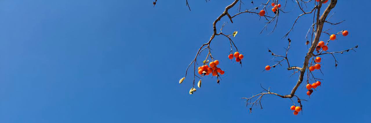 힘내라 맑은물 banner