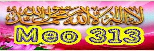 Shoukat Ali Meo 313 banner