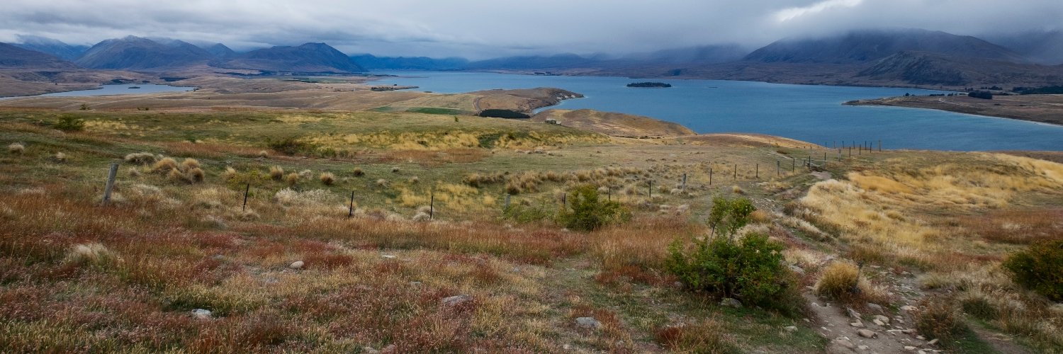 Lucas Stephens banner