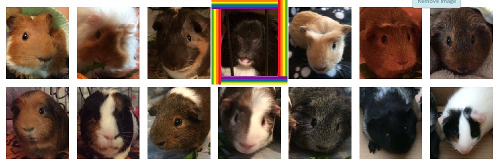 thepigposse's profile banner image