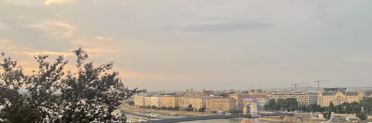 amelia taylor 🏁 banner