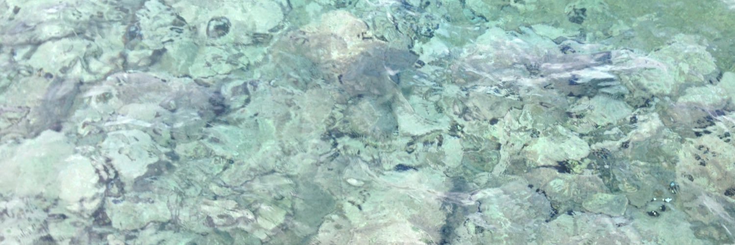 Im_LadyMalone's profile banner image