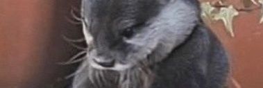 DrBalanced's profile banner image