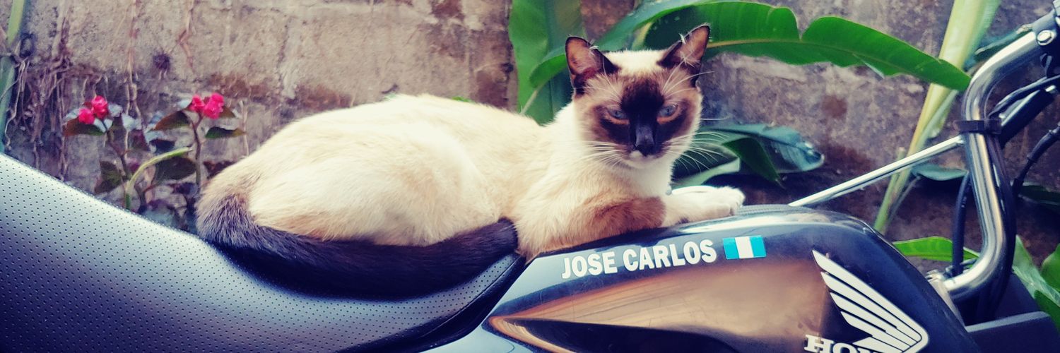 JosephCaliche's profile banner image
