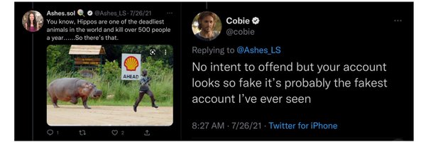 Ashes_LS Profile Banner