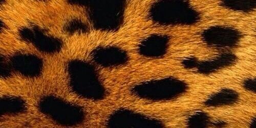 dndmyy's profile banner image