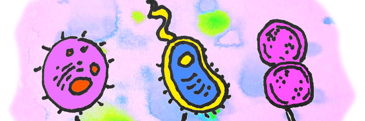 Shari Bodofsky's banner