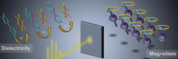 Mr.物理猫🐈 banner