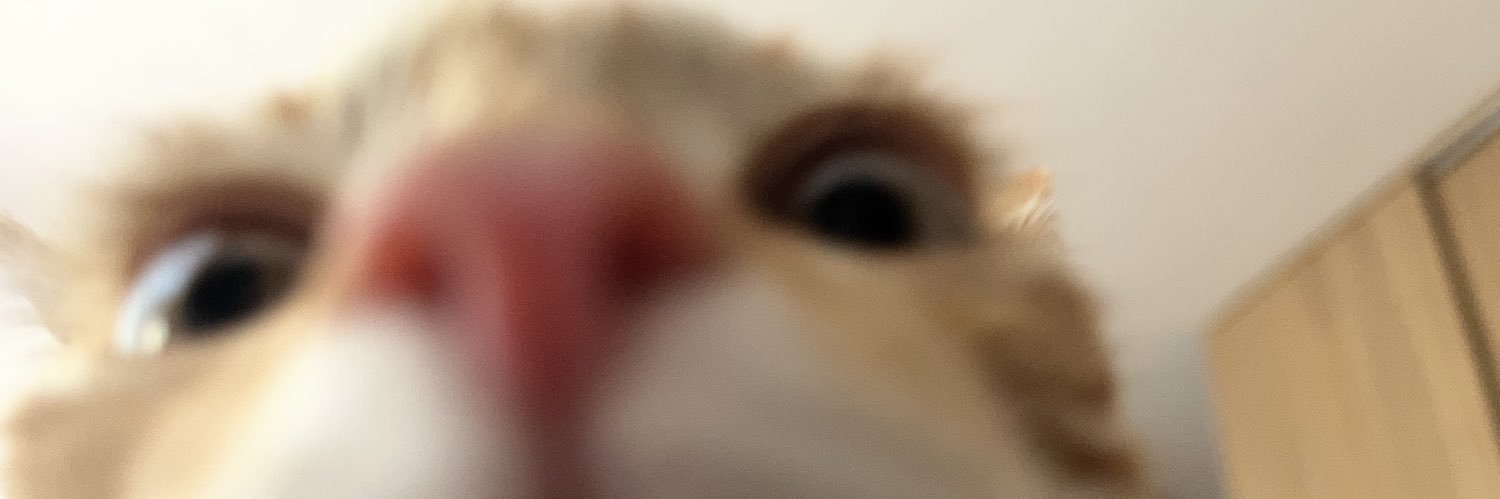 Denice Ávila. banner